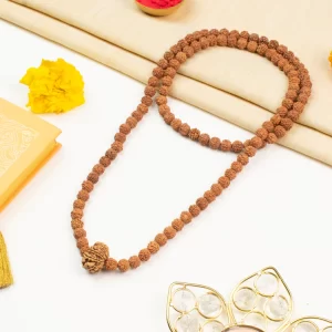 13 Mukhi Rudraksha Bead in 5 Mukhi Rudraksha Mala